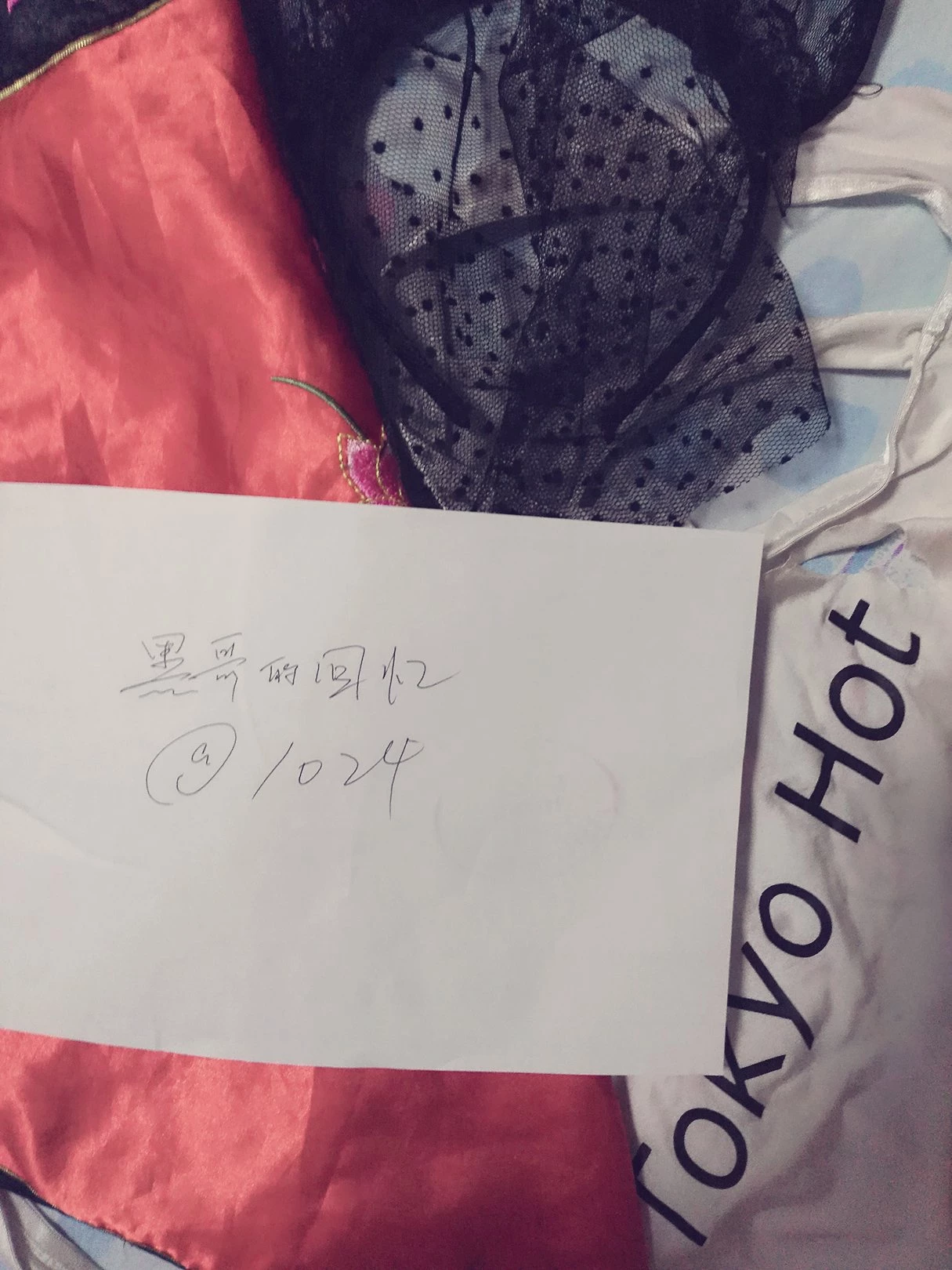 [原创ID认证]黑哥的回忆：情人问我tokyo hot什么意思，真是个单纯的妹子[13P]