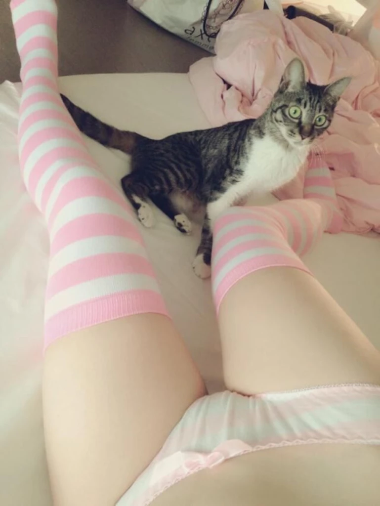 仙母种情录——01