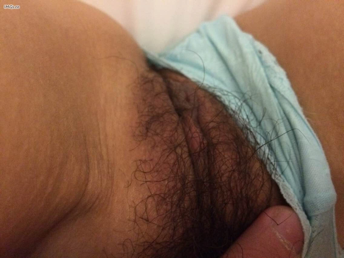 胡教授的日记