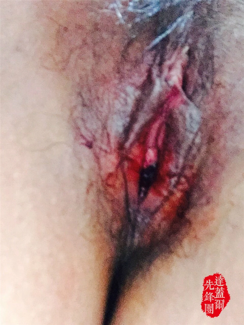 小白虎骚逼特写