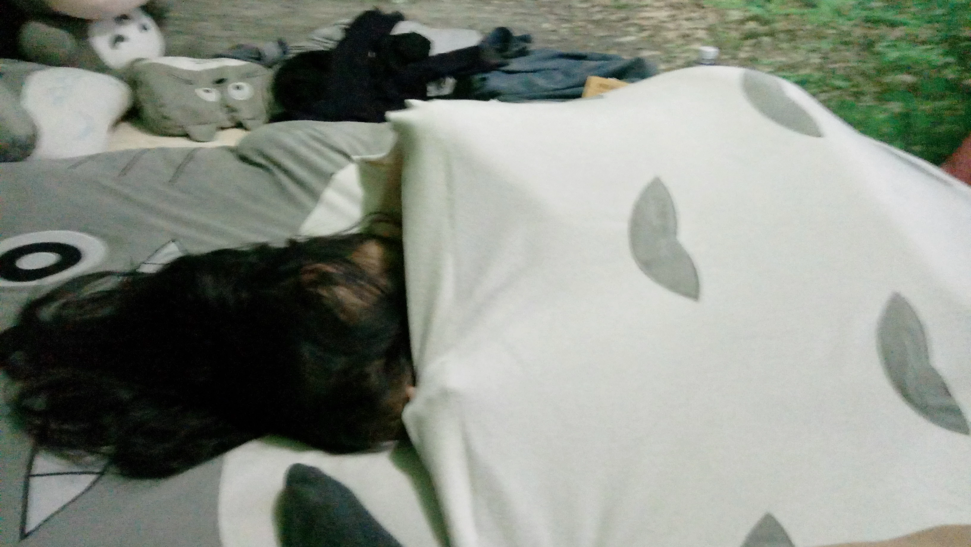 网红少妇桃子妖妖黑丝情趣啪啪私拍档 [21P]