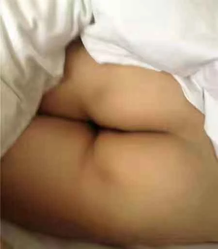 这个鲍鱼有人喜欢吗[15P]