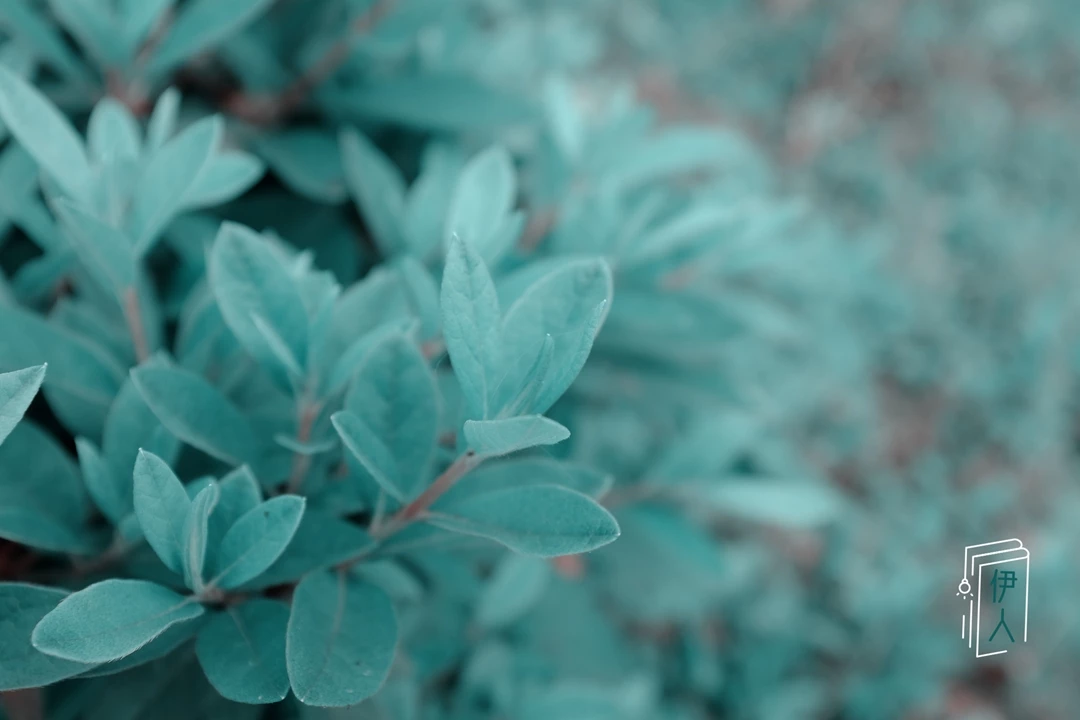 [原创]深夜跑步抖动乳房的加山间小路脱光口暴的少妇，还可以挤出奶的哦[20P]