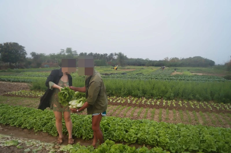 丰满骚妇去地里勾引农民打炮[20P]