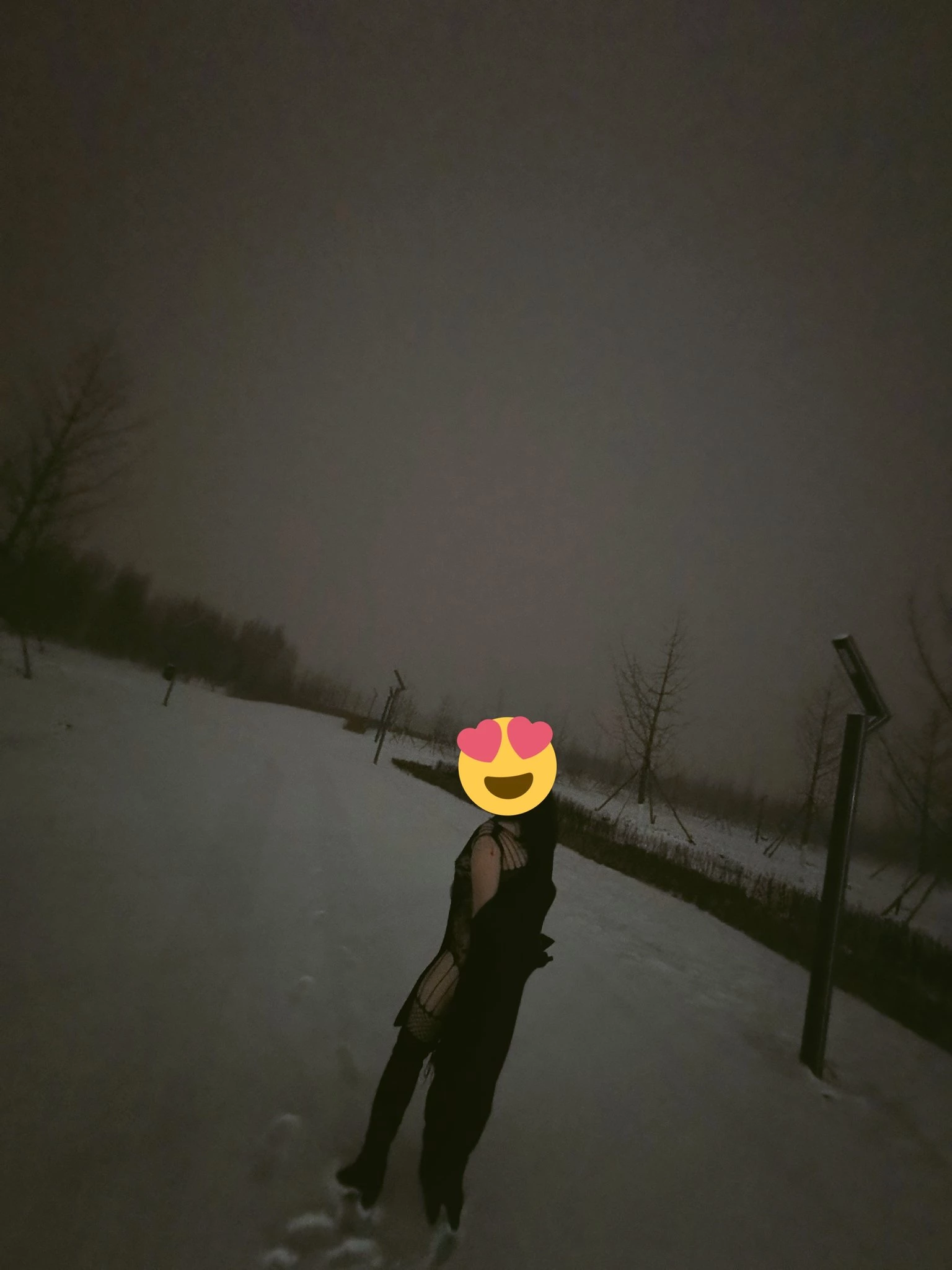 爱露出的骚母狗 小皮儿[192P]