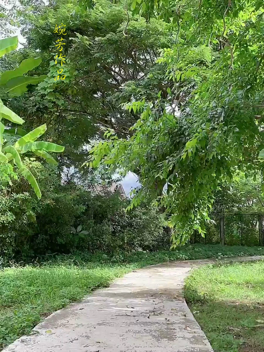 只为分享记录生活点滴!任风云变幻，披荆斩棘，砥砺前行。炽热内心孕育的梦想[28P]