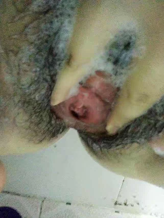 胸大毛多性欲强[13P]