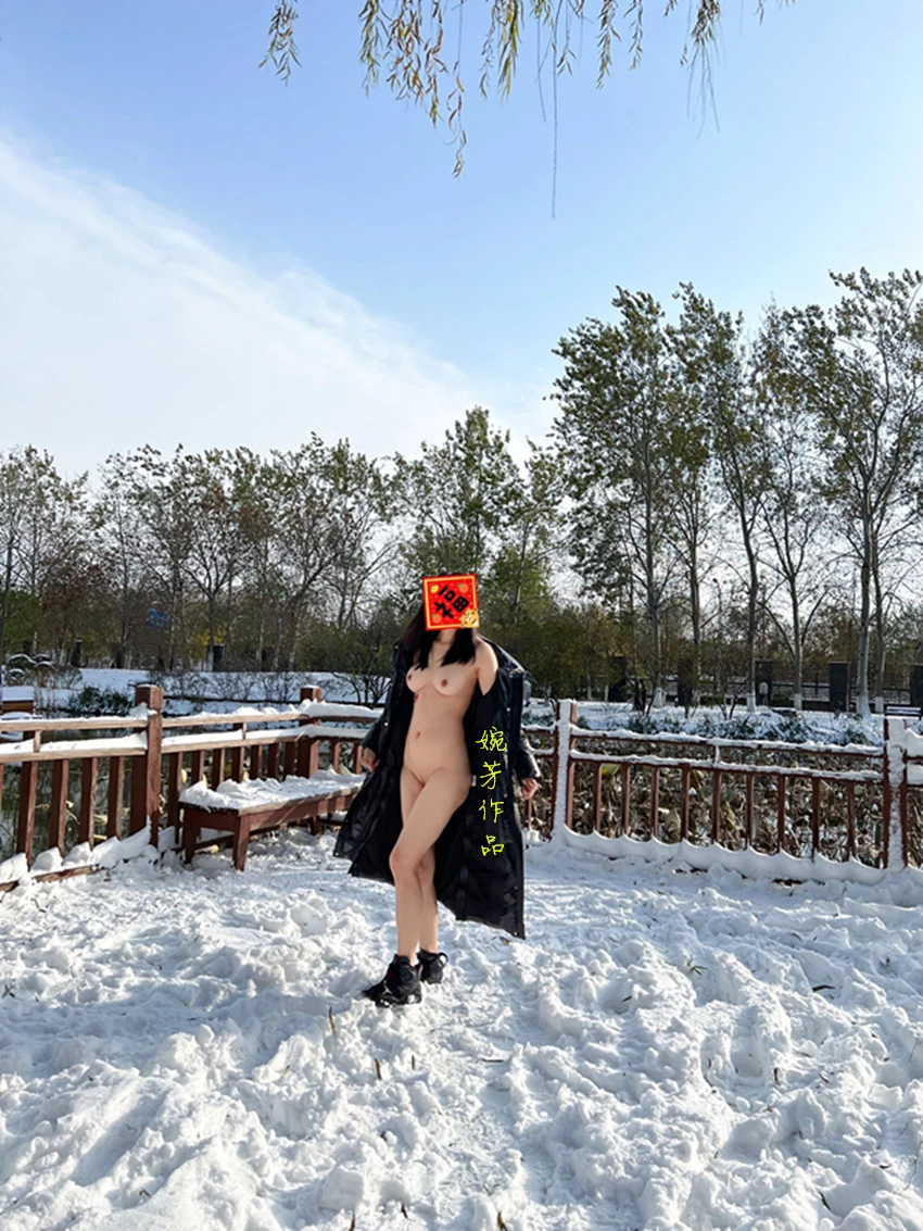 大年初二狗狗嬉雪你那里下雪了吗？[19P]