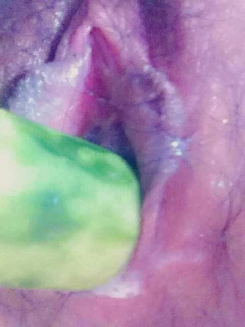 黄瓜的顶级待遇[10P]