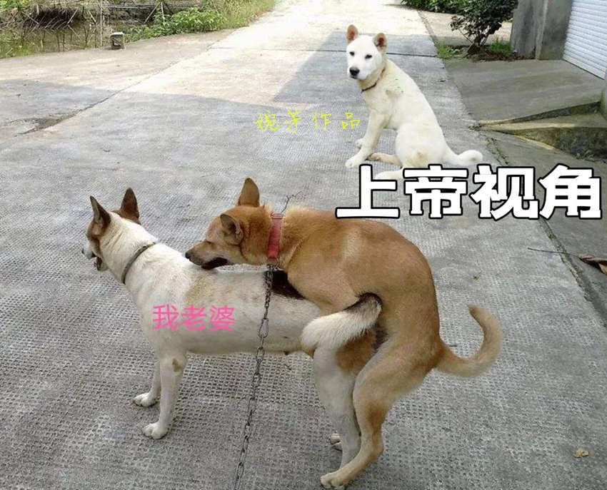 阳光灿烂～出门逛街哇！真是觉得青春不经蹉跎[17P]