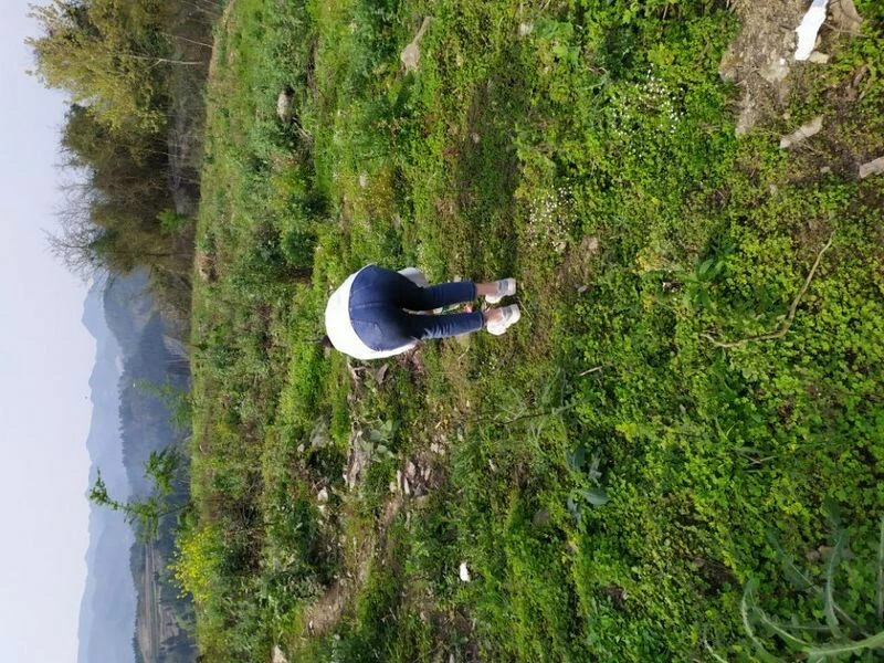 我的学霸女友，竟肯在郊外露出了［18P］