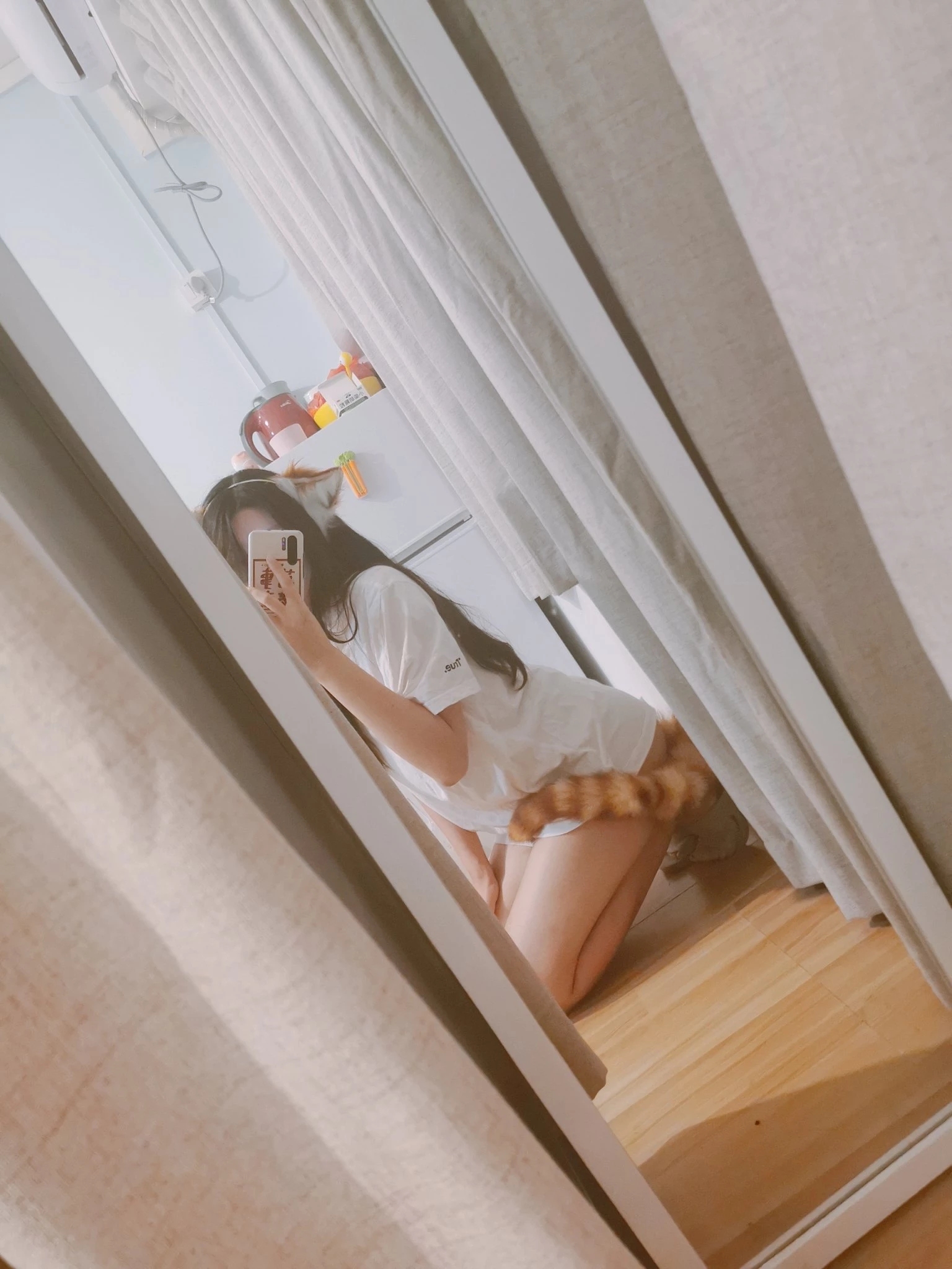 我们数一数，有多少条尾巴[60P]