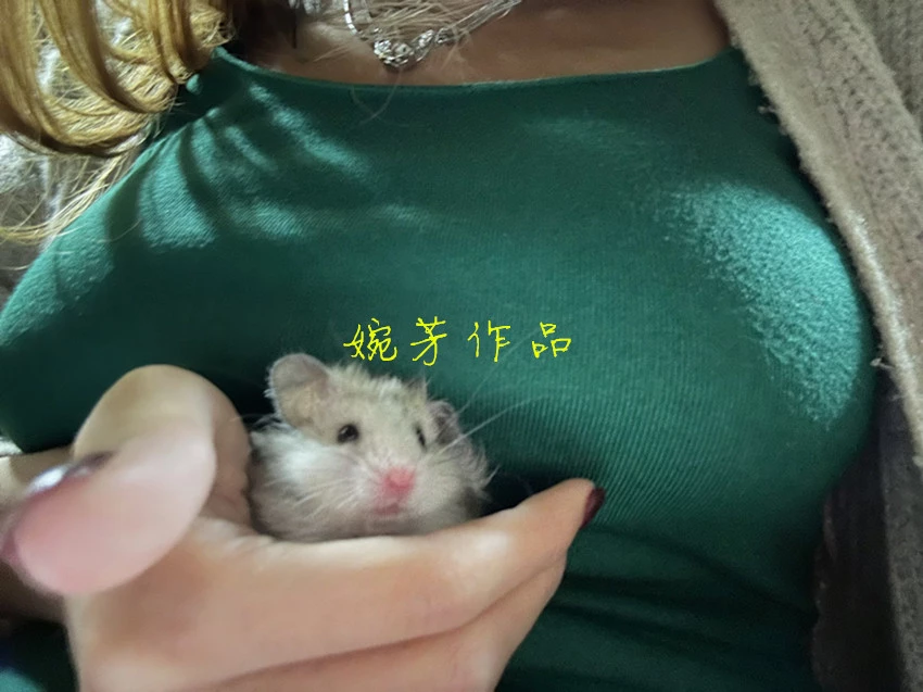 你是那夜空中最美的星星,,,你伴我迎接灿烂的曙光 迎接崭新的黎明[17P]