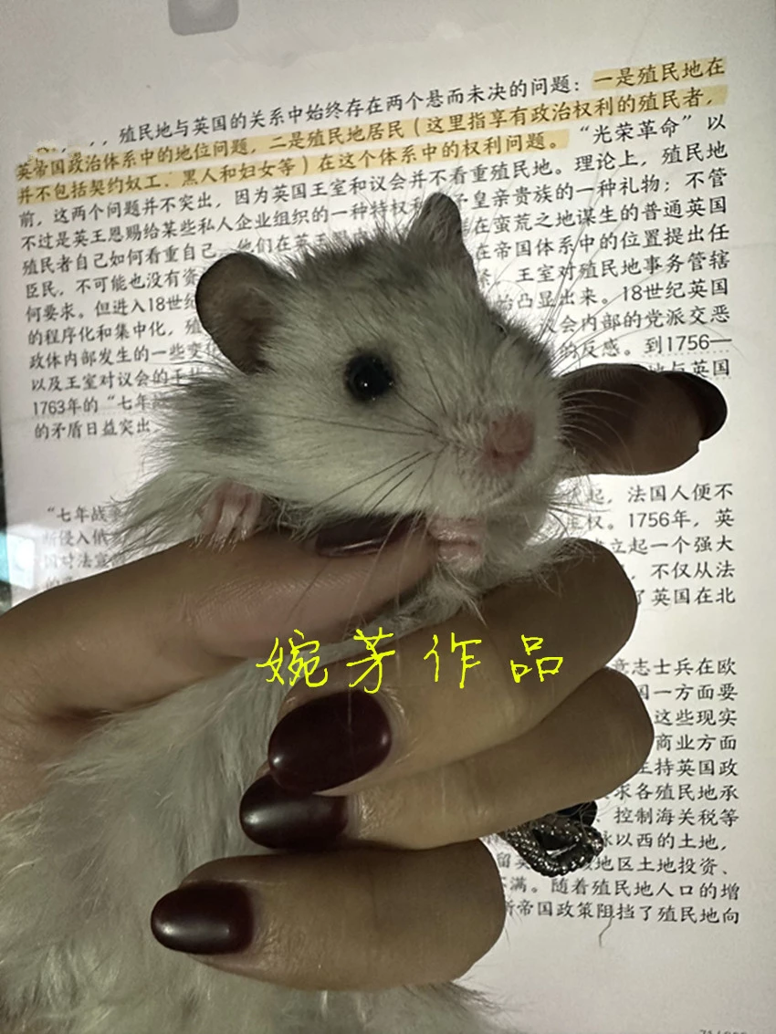 你是那夜空中最美的星星,,,你伴我迎接灿烂的曙光 迎接崭新的黎明[17P]