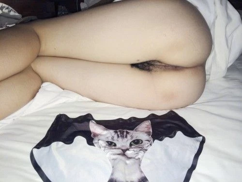 大屁股的小野猫[12P]
