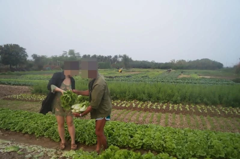 撩一撩[17P]