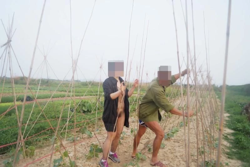 撩一撩[17P]