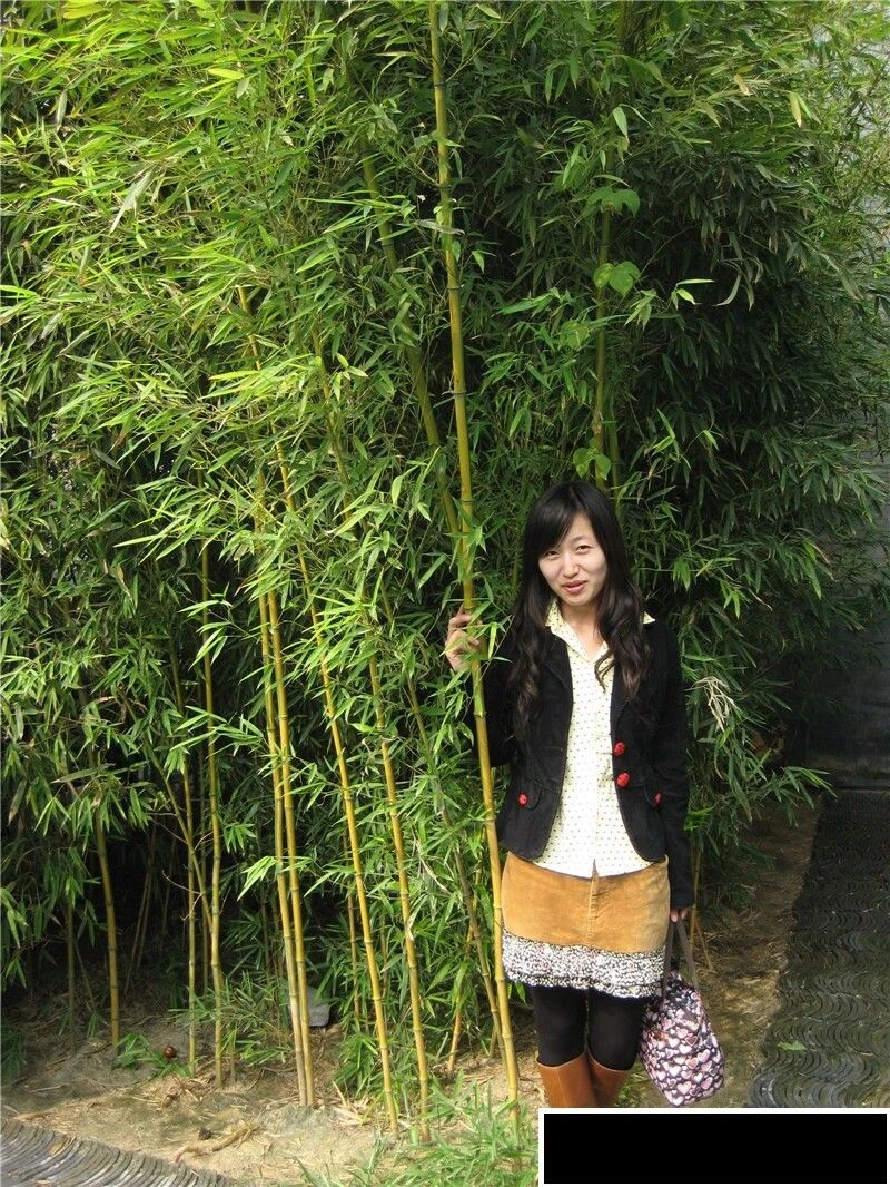 出差女陪行[30P]