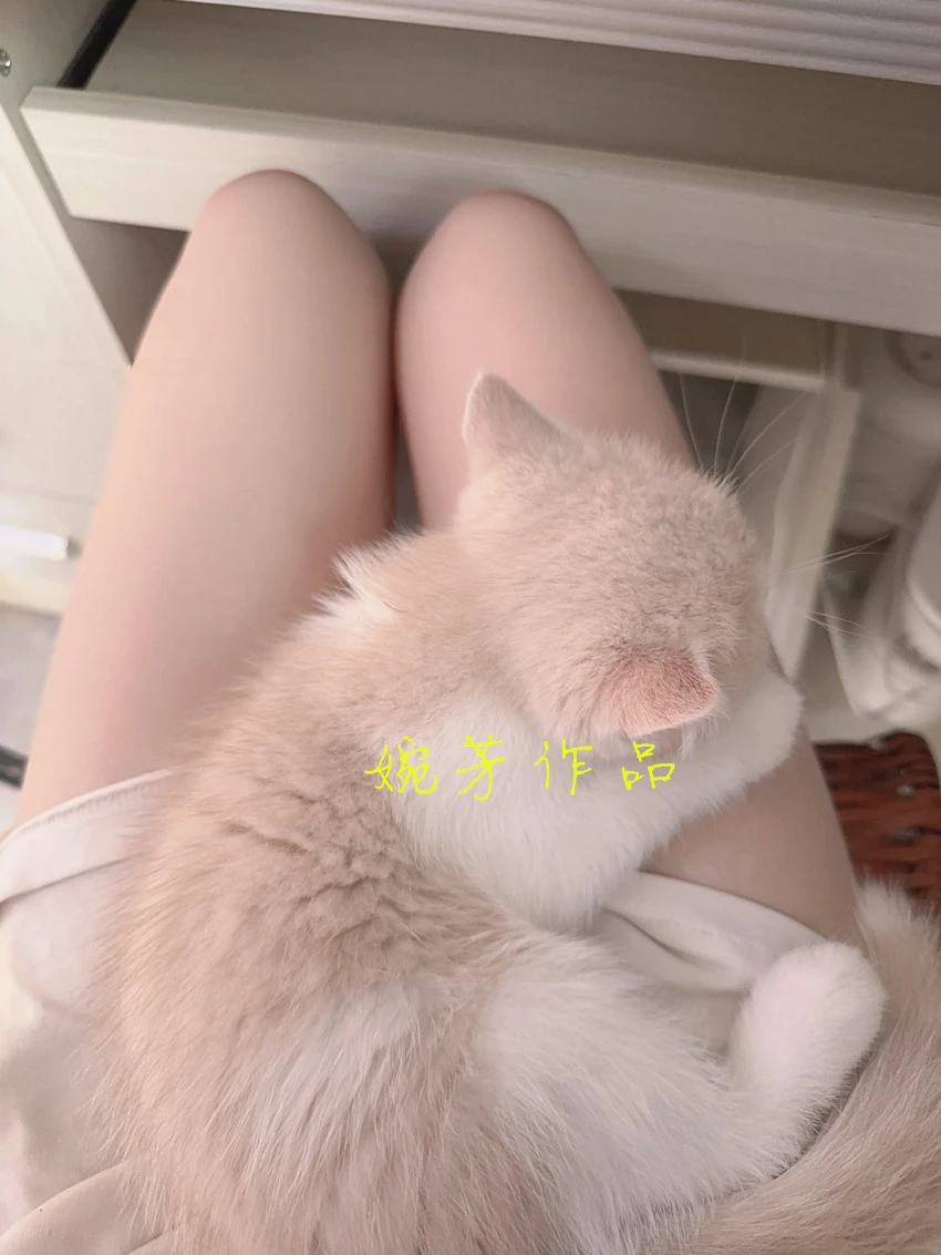 谁来治治我想谈恋爱这个瘾.碎碎念分享点日常和边角料[20P]