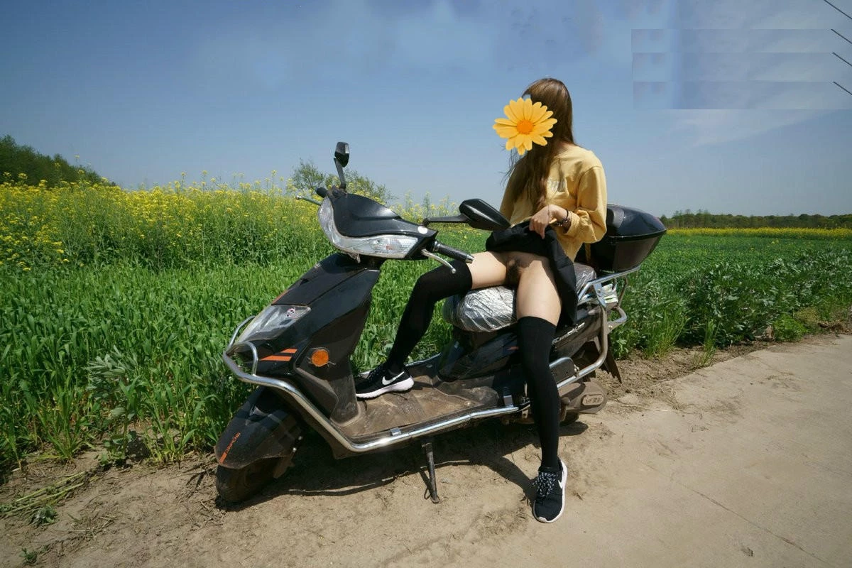 城中花[12P]