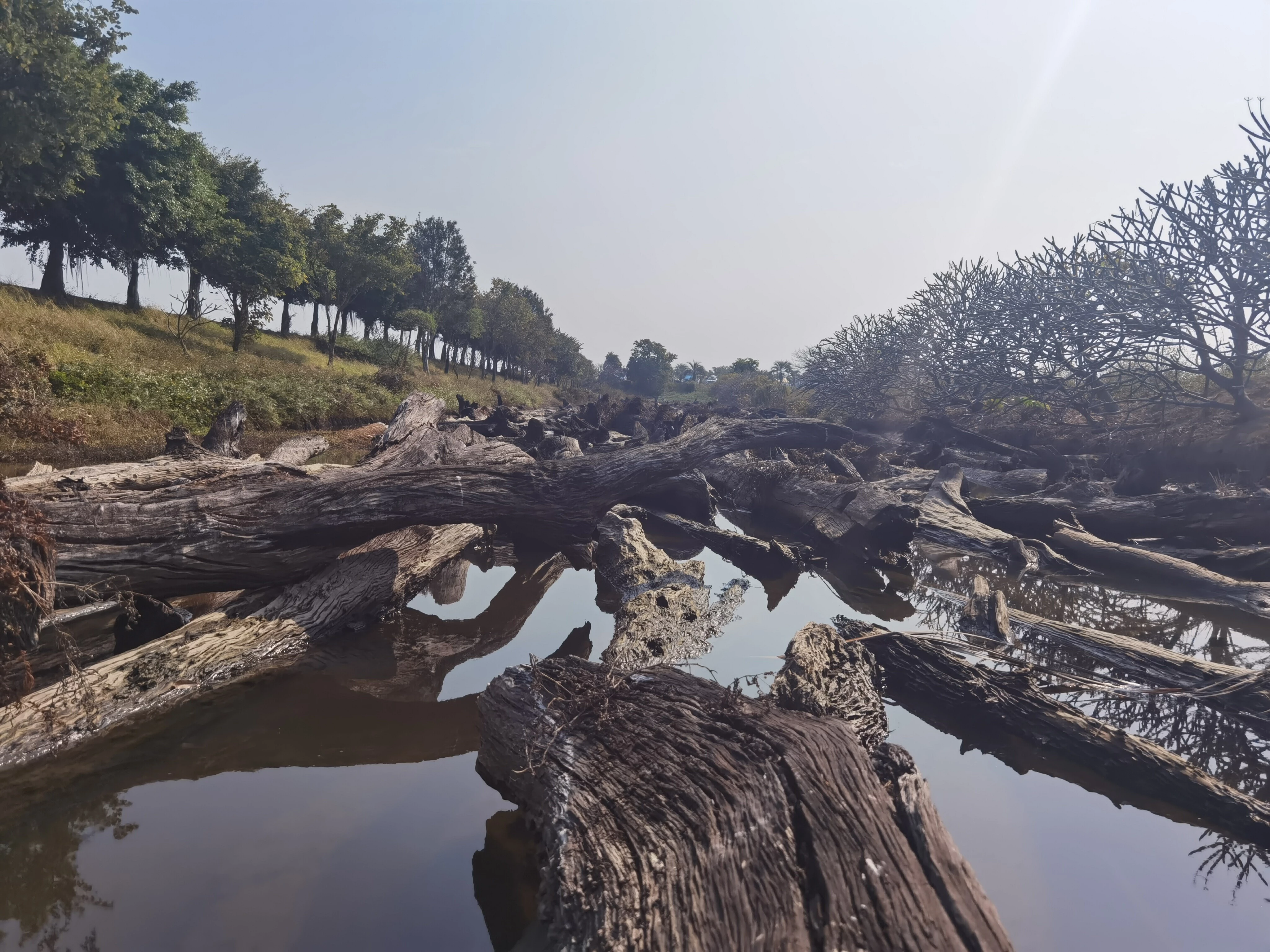 [苍海明珠与方方][原创]手势验证+写真微露脸之广州海鸥岛之旅[64P]