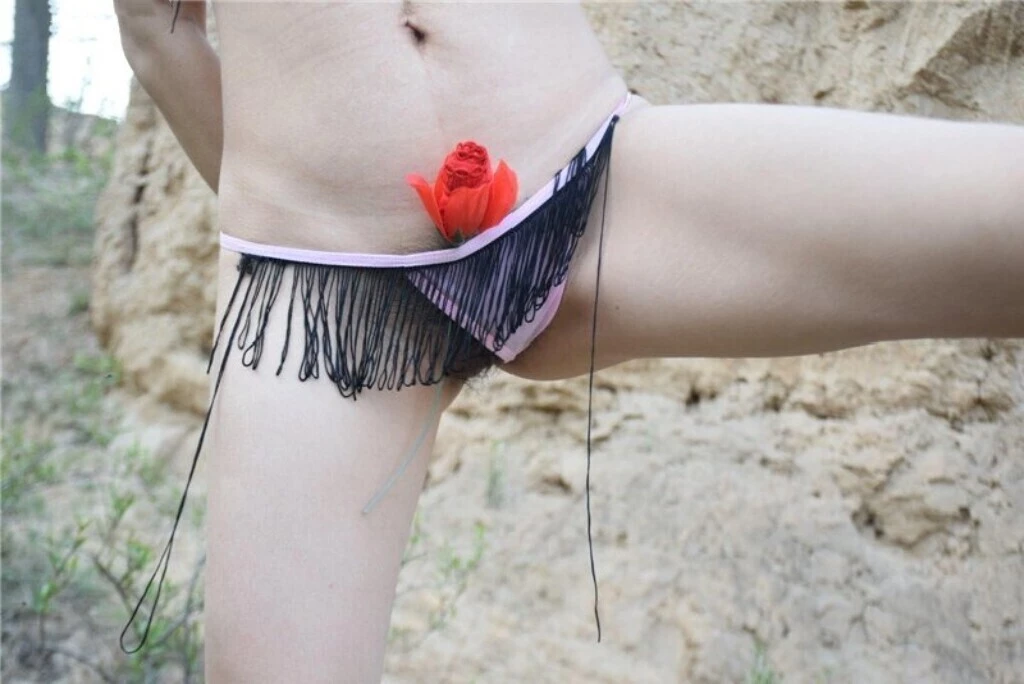 美女与玫瑰 [19P]