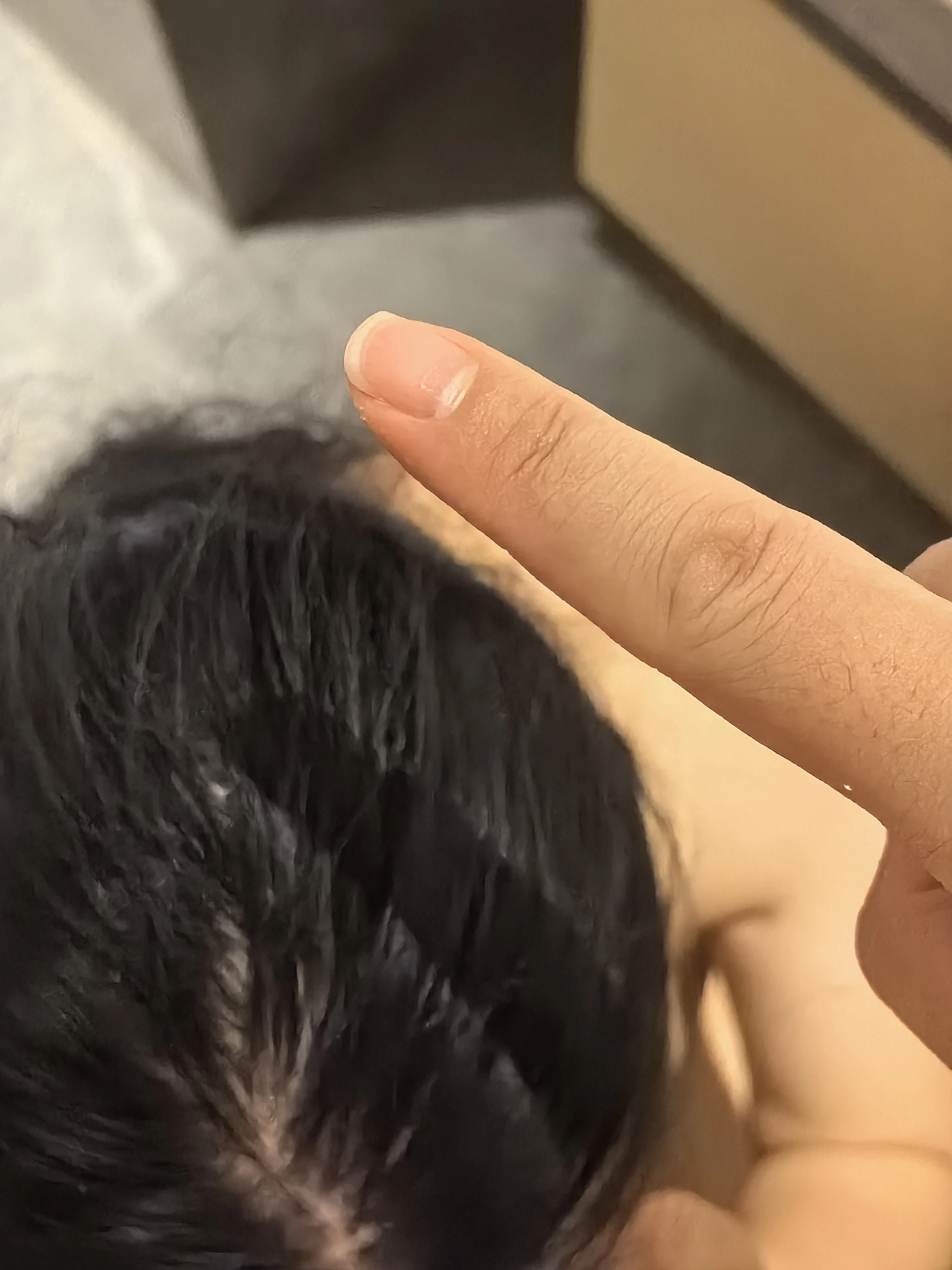[原创]大哥分享自家骚妻[12P]