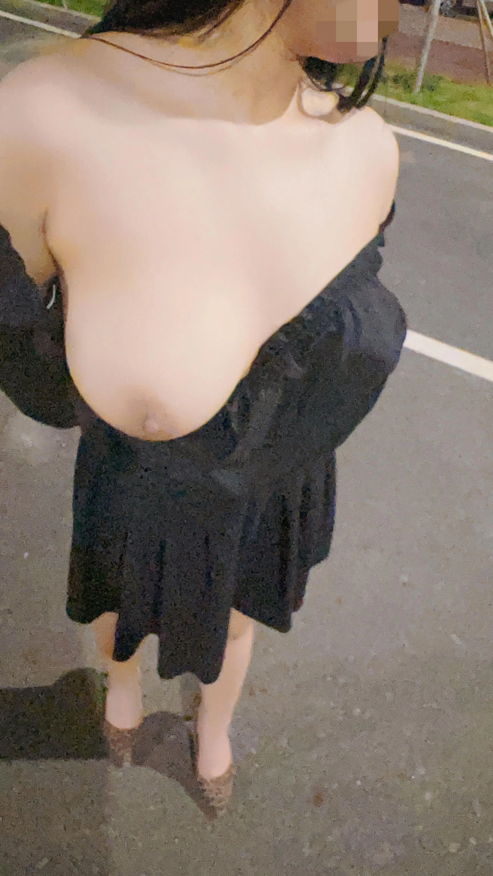 [原创]今日投稿，手写认证，携娇妻在公路上“全裸”露出 [24P]