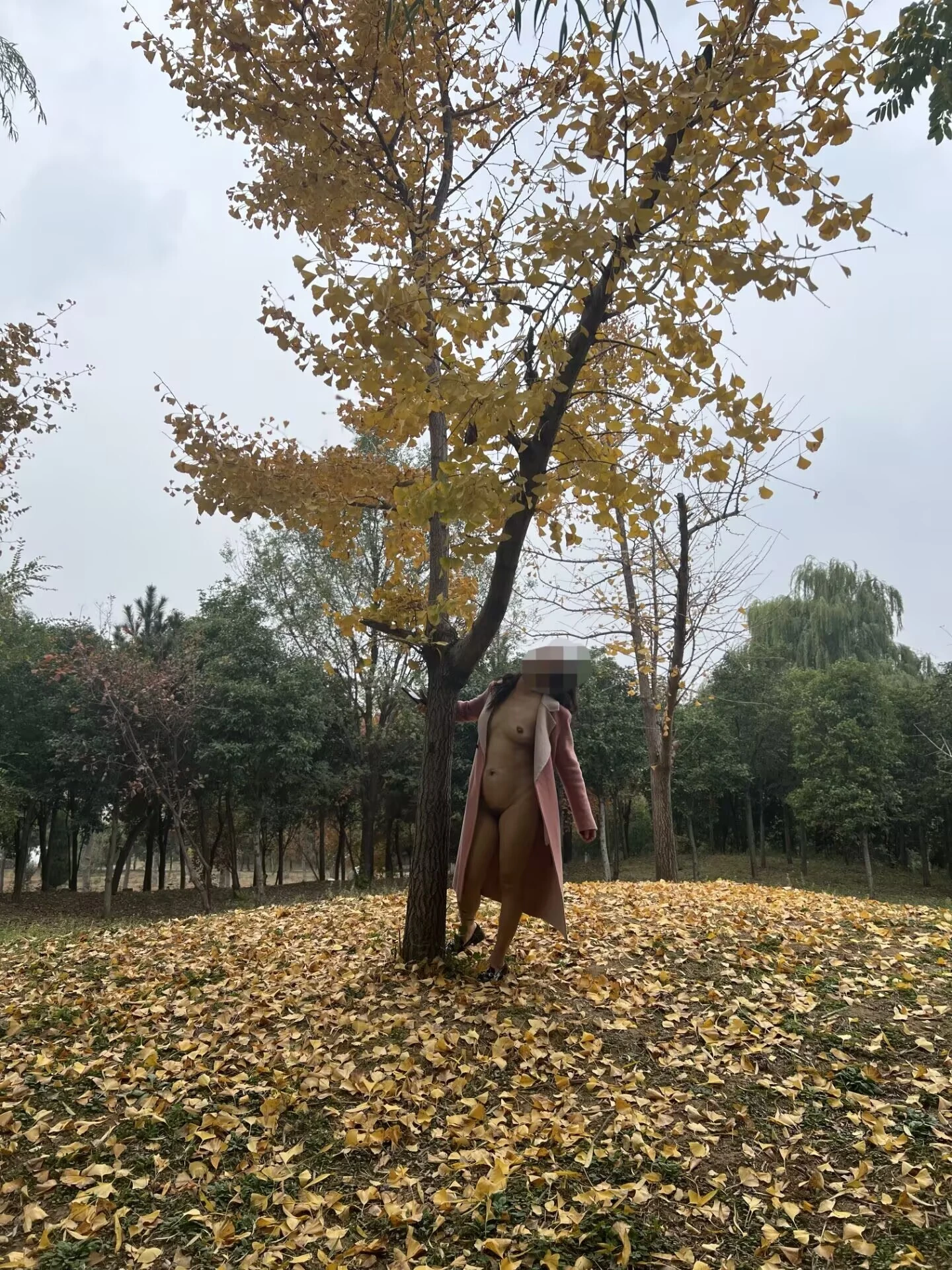 狼虎之年的人妻大胆露出自拍_[10P]