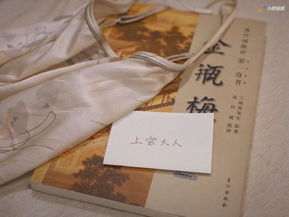 [上官大人] 沙发上读金瓶梅的女子，浴袍下书卷气的金莲[15P]
