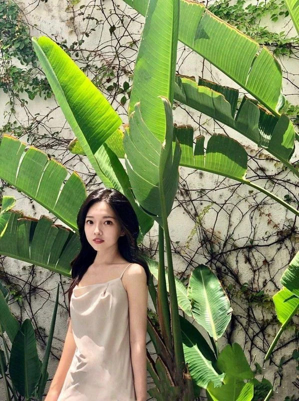 白富美[21P]