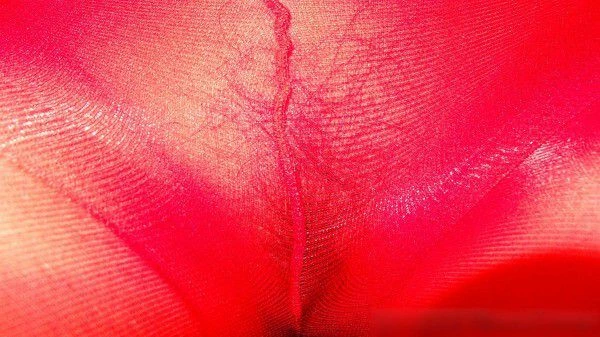 干一个穿红丝袜的年轻妹妹[16P]