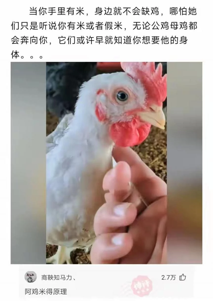 去丈母娘家，本来想着好好表现一下，结果烧错洞了，害我烧半天[9P]