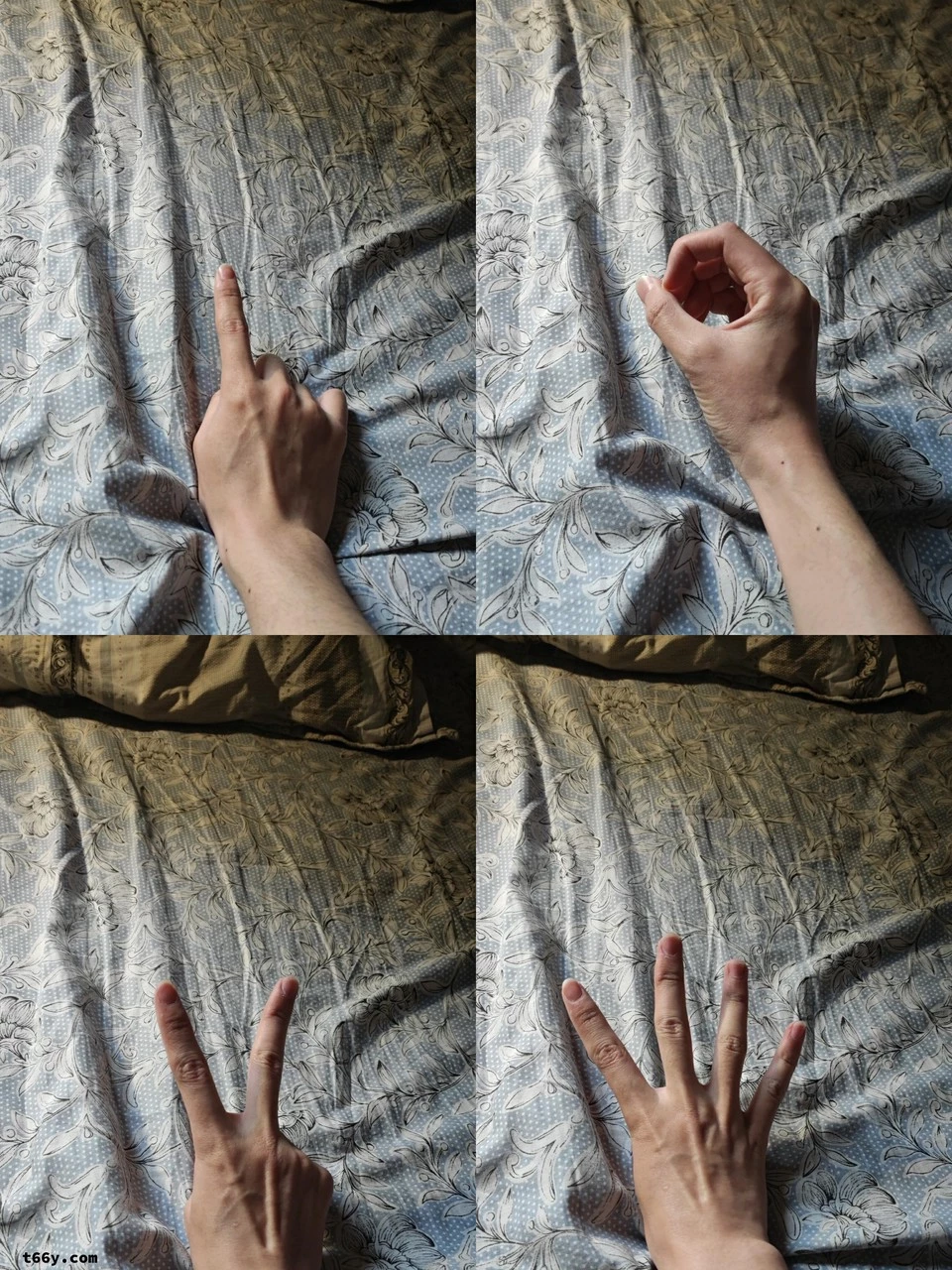 回忆我当年拍过的骚逼[16P]