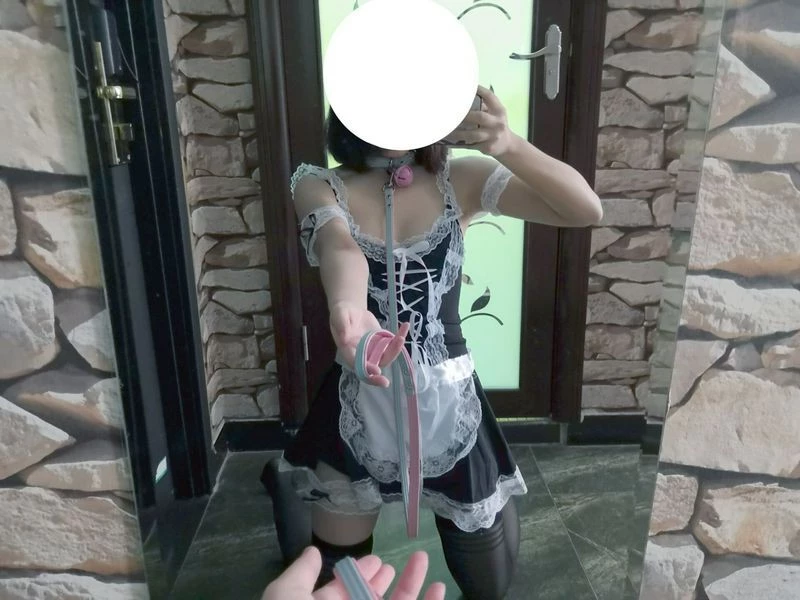 女仆装给您请安主人拿着狗链享受我的服务好吗手势验证[28P]