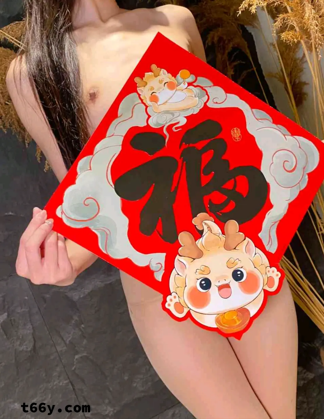 补发过年贴，包你满意[22P]
