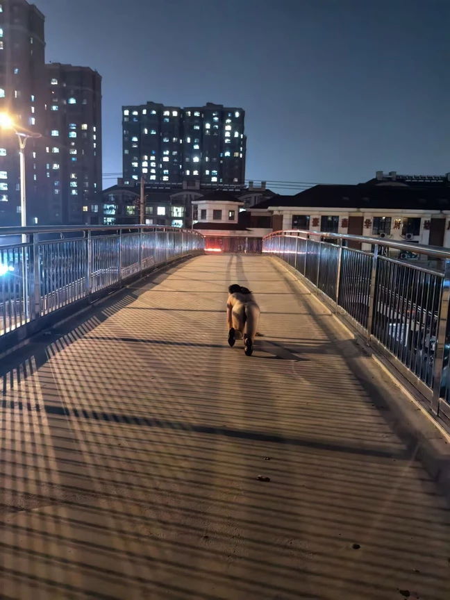 大胆漏出[10P]