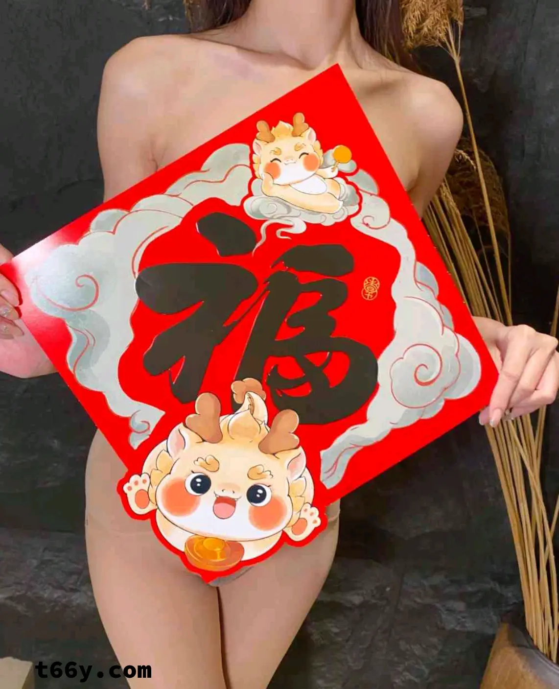 补发过年贴，包你满意[22P]