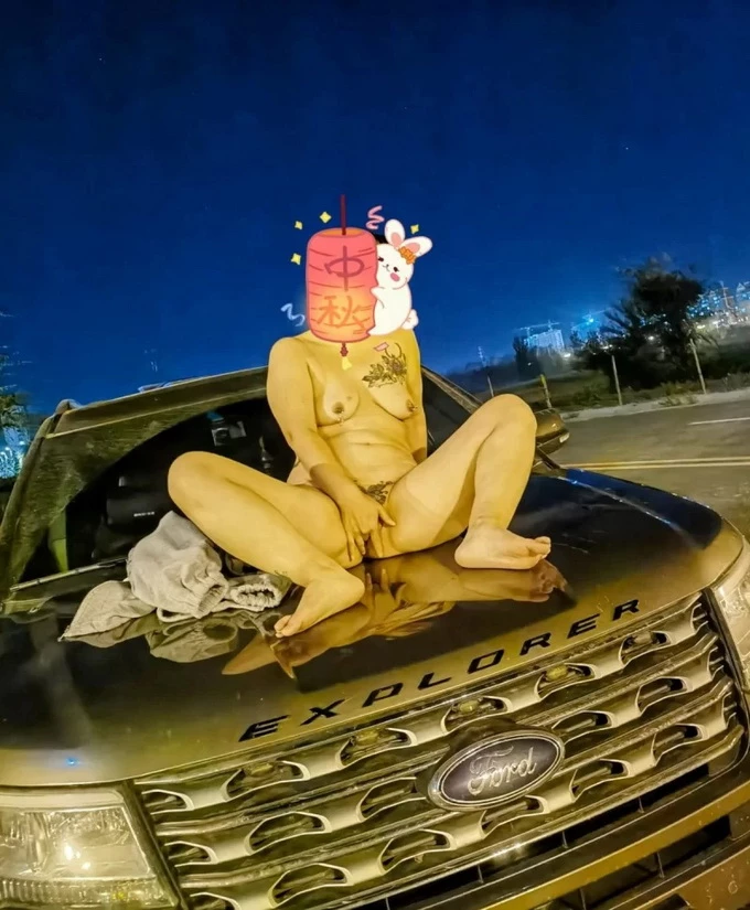 贱畜奴妻[12P]